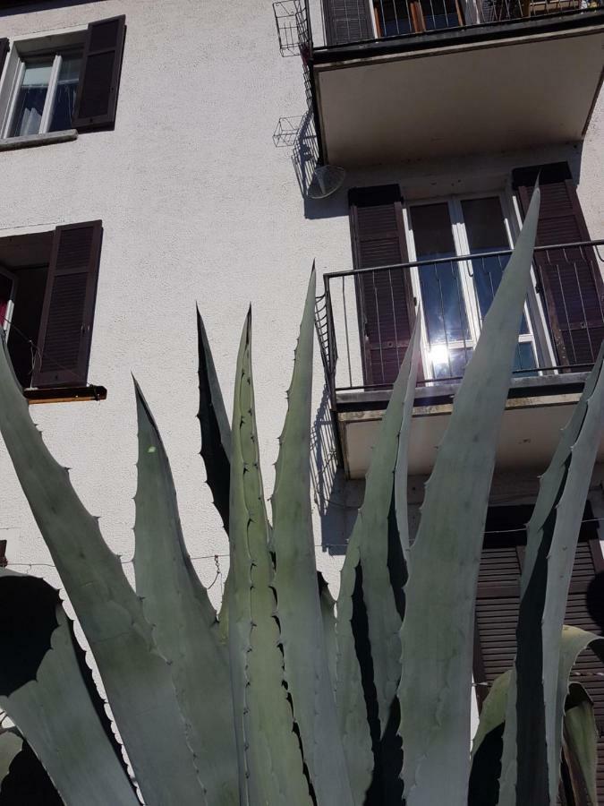 Flora Apartment Moltrasio Exterior foto